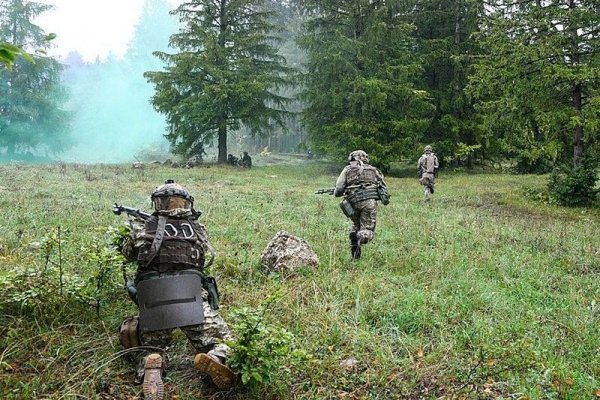 Kit kraken официальный сайт